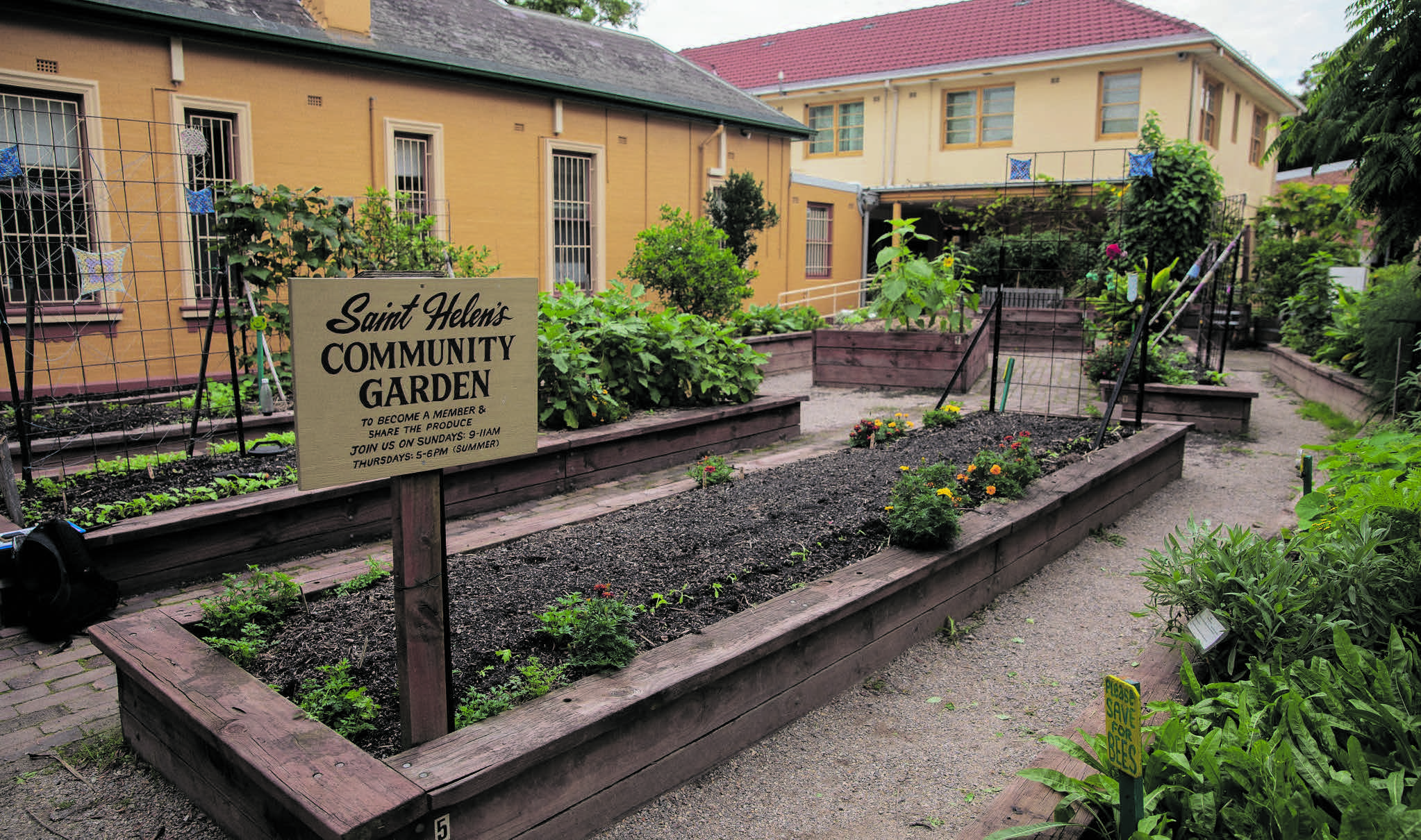Overview of St Helen’s community garden